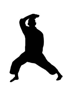 karate-clipart-a-silhouette-of-man-in-karate-pose