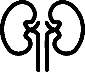 kidney-clipart-a-black-and-white-logo-of-the-word-co