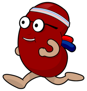 kidney-clipart-a-cartoon-character-running-with-blue-ribbon-around-his-neck