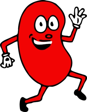kidney-clipart-a-red-cartoon-character-running
