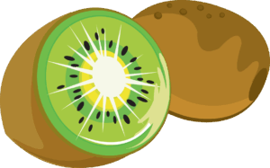 kiwi-clipart-a-half-of-kiwia-kiwi