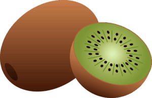 kiwi-clipart-a-kil-of-ki
