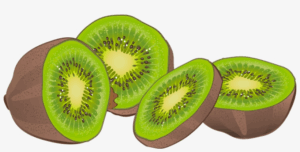 kiwi-clipart-ki