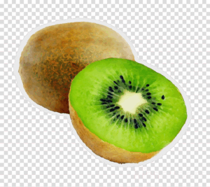kiwi-clipart-ki-two