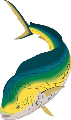 koi-fish-clipart-a-fish-with-yellow-tail-and-green-fins