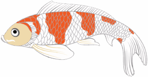 koi-fish-clipart-a-goldfish-with-white-and-orange-stripe